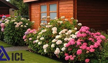 Добриво для декоративних рослин Landscaper Pro Flora / Флора Добриво для декоративних рослин Landscaper Pro Flora / Флора