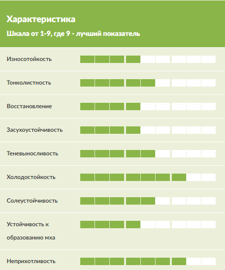 Насіння DLF Robustica