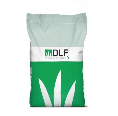 Конюшина біла Рівендел DLF Trifolium 25 кг