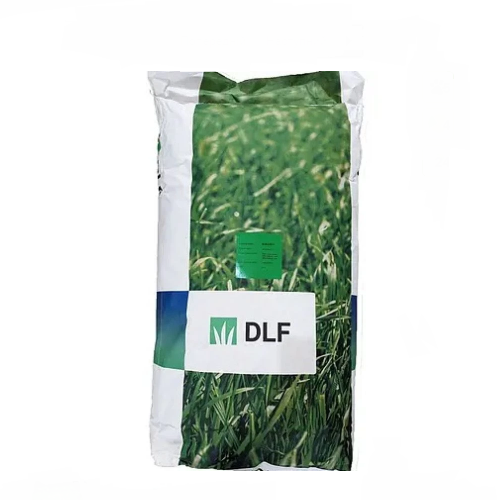 Насіння DLF Robustica, 20 кг
