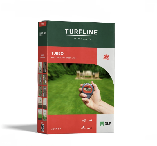 Насіння Turbo DLF, 1кг Насіння Turbo DLF, 1кг