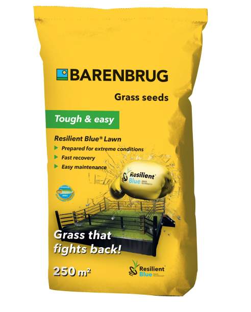 Насіння газонних трав Barenbrug Resilient Blue Lawn, 5 кг Насіння газонних трав Barenbrug Resilient Blue Lawn, 5 кг
