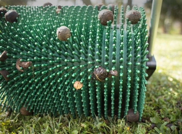 Ручной сборщик орехов 45 см Bag-A-Nut